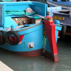 Blue Boat